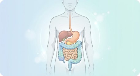 2026 과민성 대장 증후군(IBS) 완벽 가이드 — 증상·원인·치료법·식단(FODMAP)·스트레스 관리까지 총정리